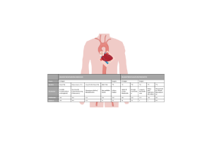grafik-endotheliale-dysfunktion-myokardischaemie-ccm.jpg