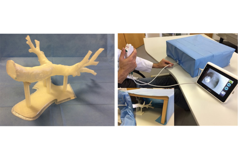 Versuchsaufbau mit einem dreidimensionalen Modell des Tracheobronchialsystems