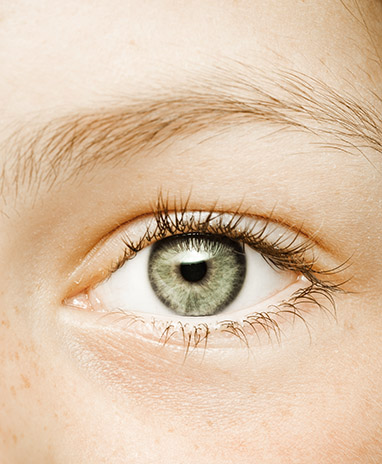teaser-l-@by-studio-adobestock-56244600.jpg