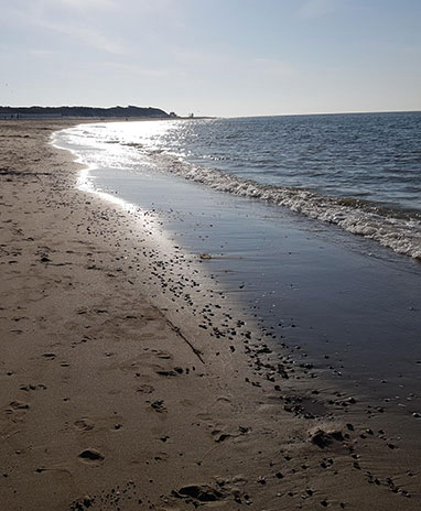 teaser-l-strand-hildegard-schueren.jpg