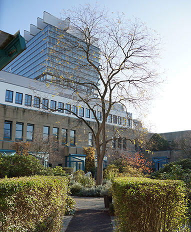 teaser-l-palliativzentrum-koeln-mfk.jpg