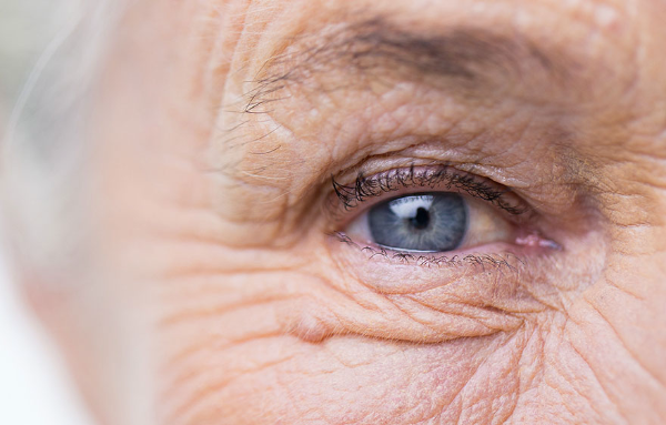 auge-vert-teaser-880x562-adobestock-syda-productions.jpg