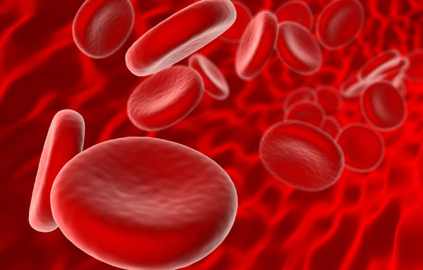 Blut