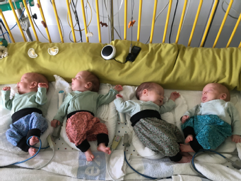 Die Vierlinge Frieda, Carla, Lotta und Theo kamen im Mai in der Uniklinik Köln zur Welt, Foto: Uniklinik Köln