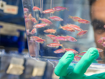 Foto: Griffith University