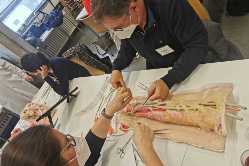 Bildergalerie Shuntsymposium