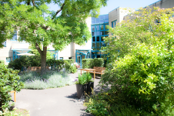 Garten des Mildred Scheel-Hauses, Foto: Dorothea Hensen