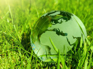 Foto: stockWERK, Fotolia