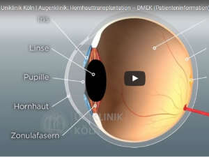 Video-gestützte Patientenaufklärung Video-gestützte Patientenaufklärung
