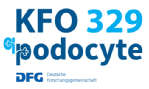 Logo KFO 329 Logo KFO 329