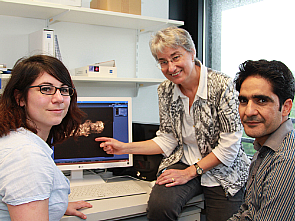 Neue Therapiemöglichkeit bei Spinaler Muskelatrophie