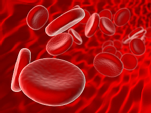 Blutkörperchen, Foto: Pixelwolf, Fotolia