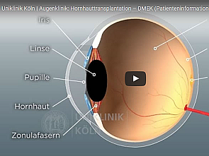 Video-gestützte Patientenaufklärung