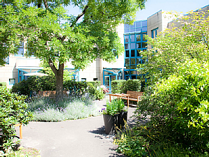 Garten des Dr. Mildred Scheel-Hauses, Foto: Dorothea Hensen