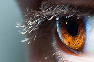 Foto: AlexAndrews/iStock Foto: AlexAndrews/iStock