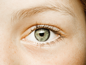 Foto: by-studio/AdobeStock