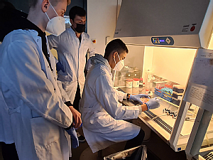 Im Labor (ZMMK) wird den Zellproben neue Nahrungsflüssigkeit zugeführt. Foto: Leona Gawlinski