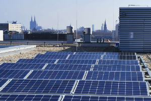 Foto: Christian Wittke