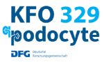Logo KFO 329 Logo KFO 329